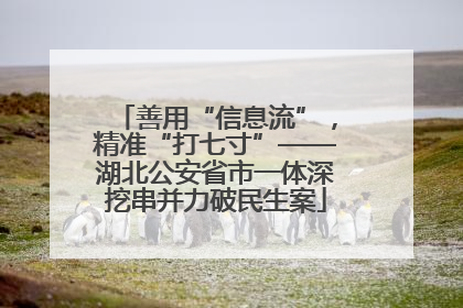 善用“信息流”，精准“打七寸”——湖北公安省市一体深挖串并力破民生案